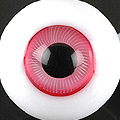 D24 - 14mm Cherry��ݯ��