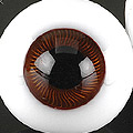 D24 - 14mm Ex Brown����ܣ