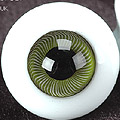 D24 - 16mm Lemon Green��ݦݨ��